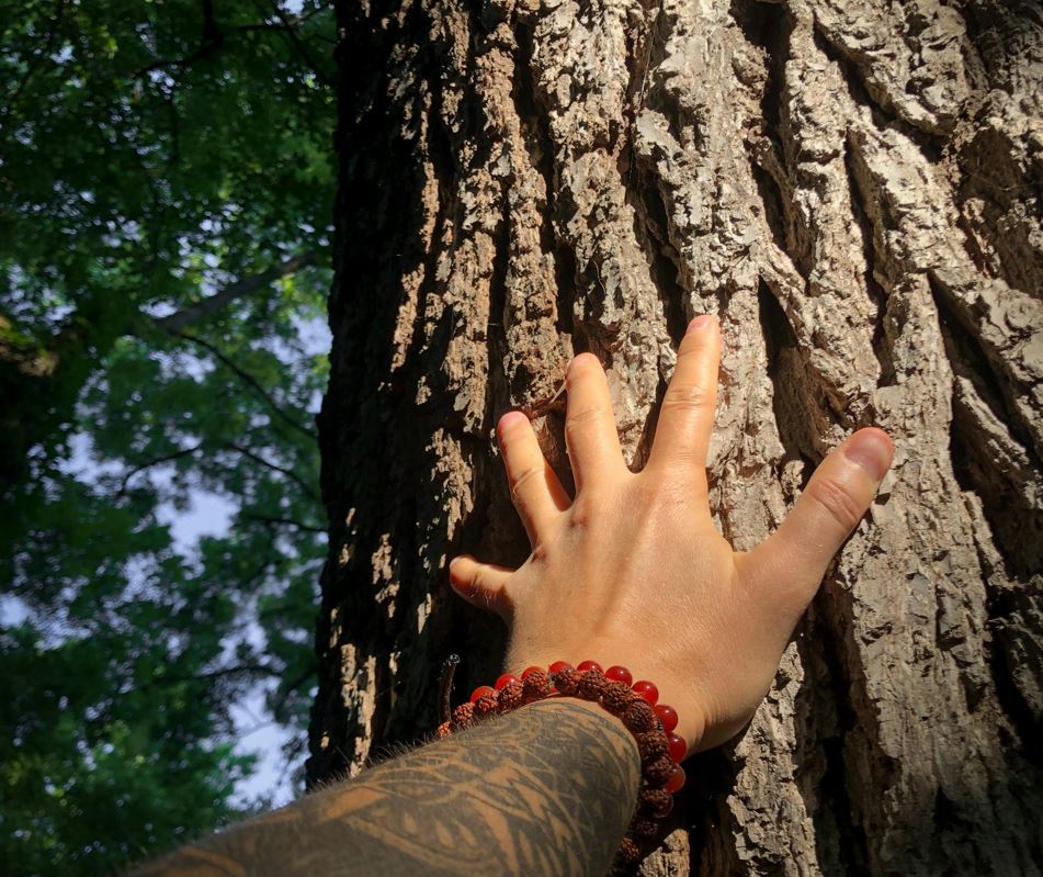 Three Grounding Steps to Regain Control During Anxiety