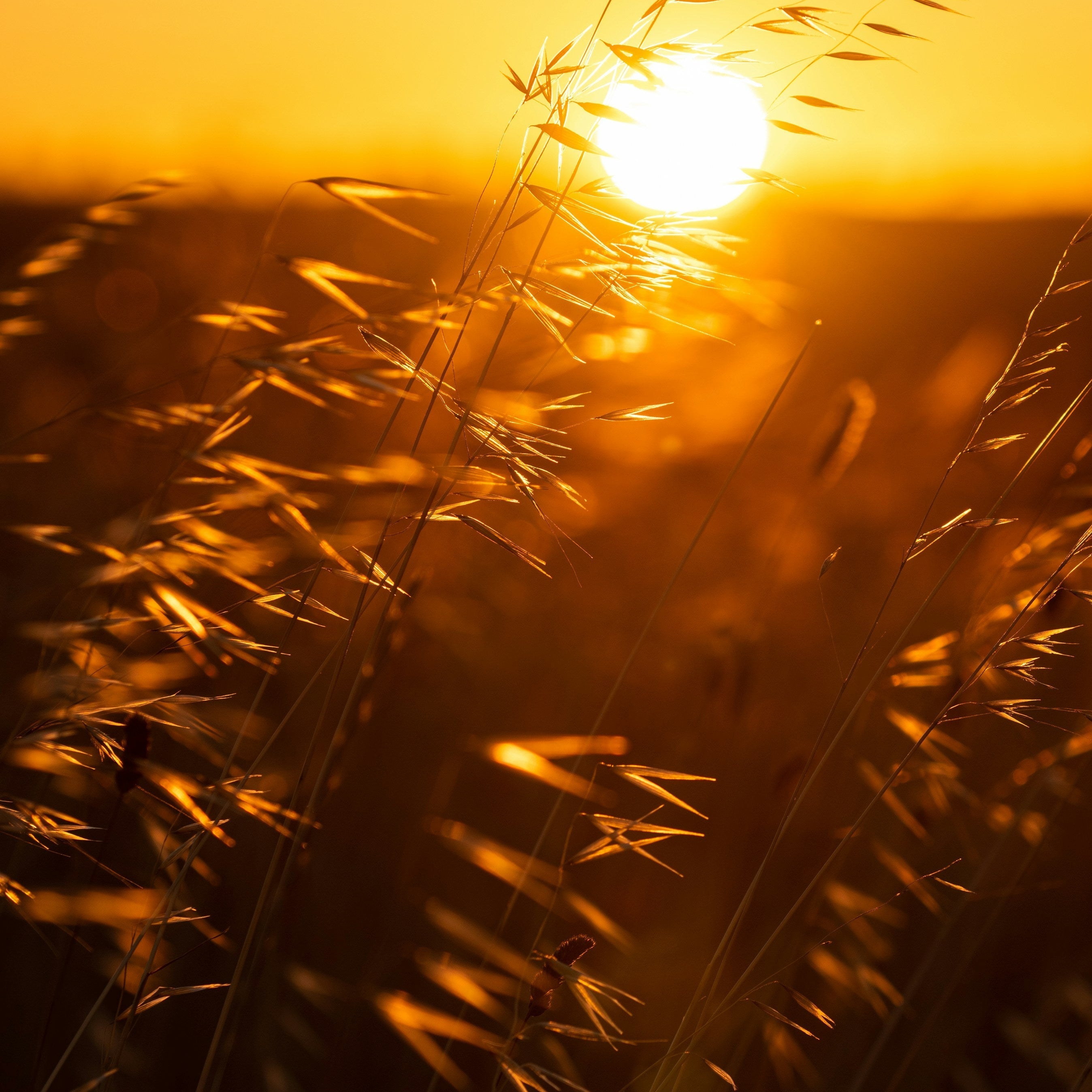 Excessive Darkness Makes Us Moody and Sick. How Can We Resist?